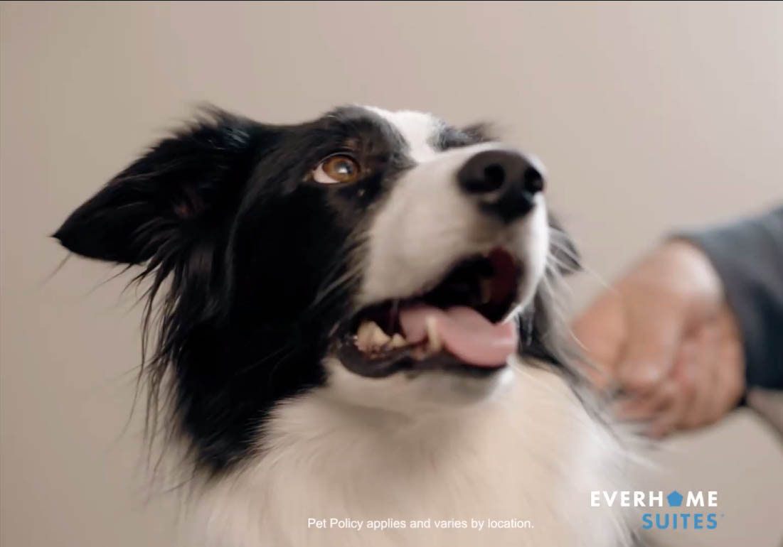 Everhome Suites TV